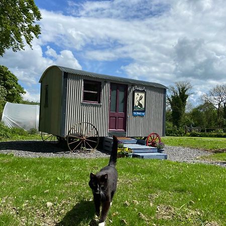 The Hares Hut At Carrigeen Glamping キルケニー エクステリア 写真