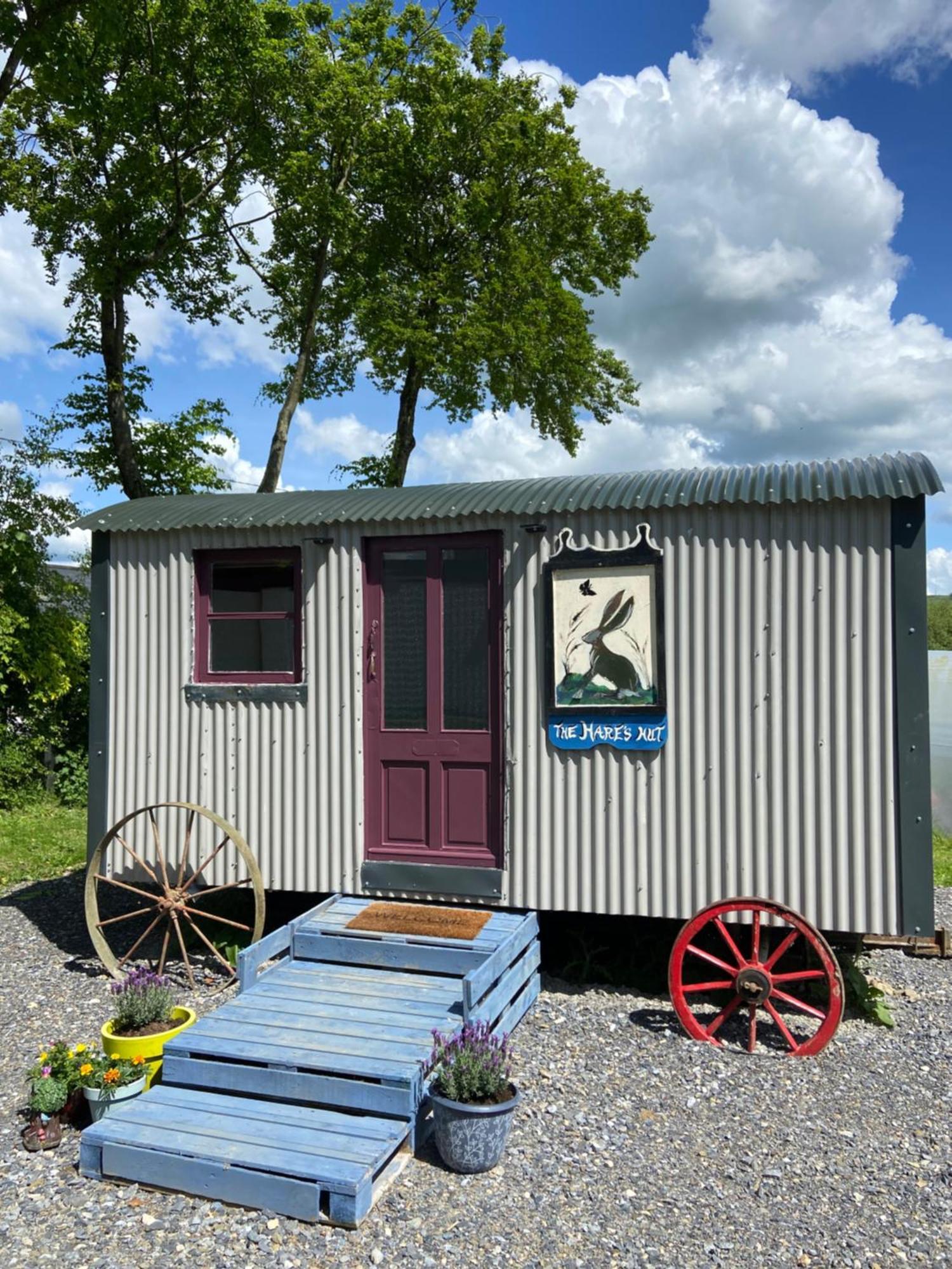 The Hares Hut At Carrigeen Glamping キルケニー エクステリア 写真